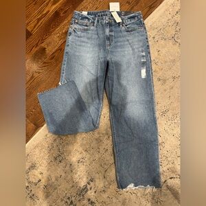 American Eagle Outfitters Light Blue Straight Jeans